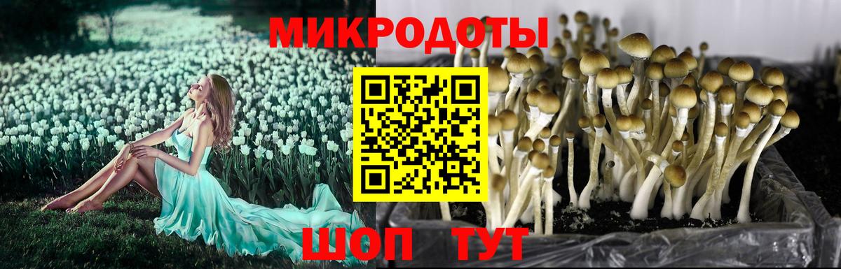 Галлюциногенные грибы прущие грибы  Вход с VPN  Минусинск 