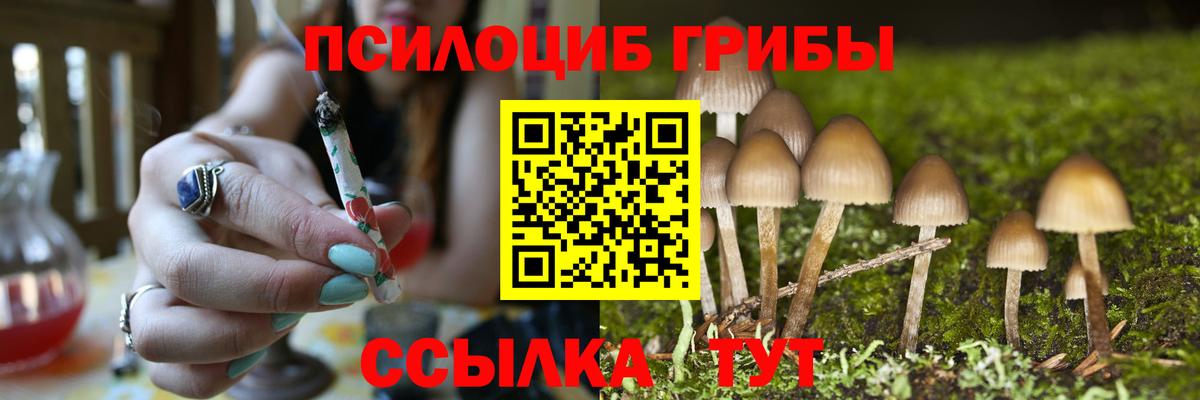 Галлюциногенные грибы Magic Shrooms Минусинск